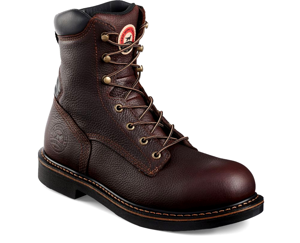 Irish setter 83803 Clearance