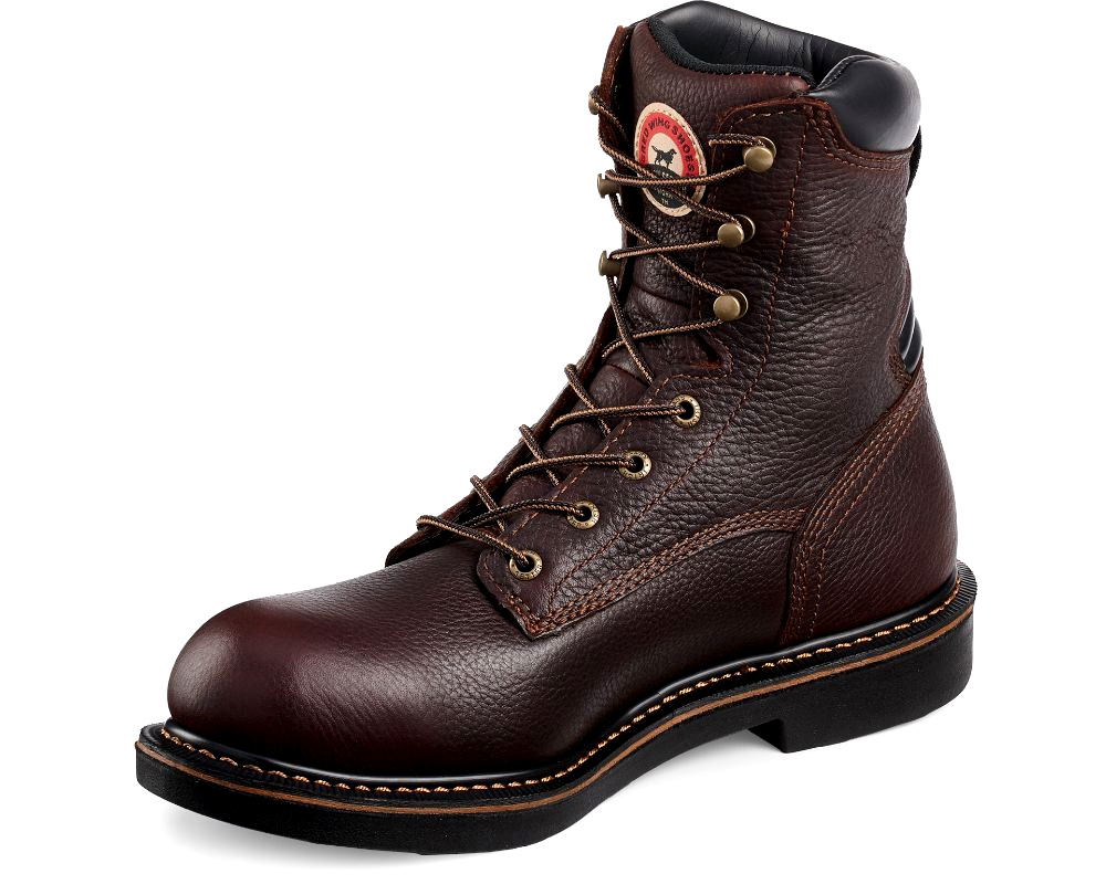 Irish setter 83803 Clearance