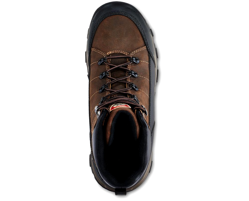 irish setter stillwater