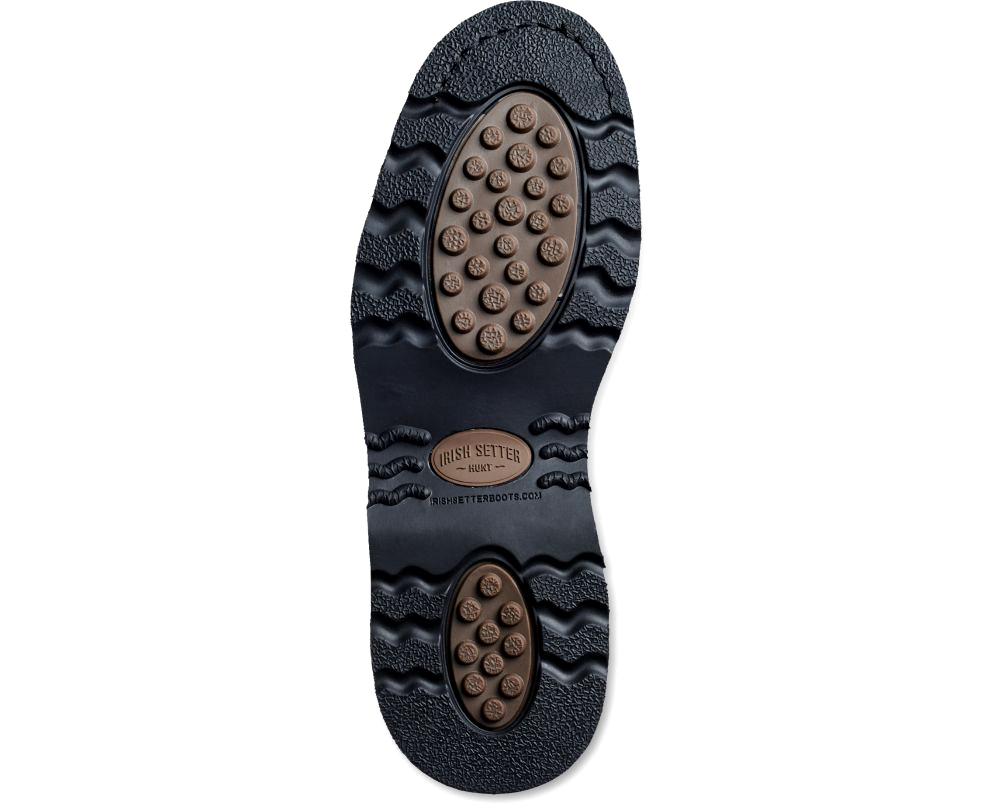 irish setter wingshooter 808