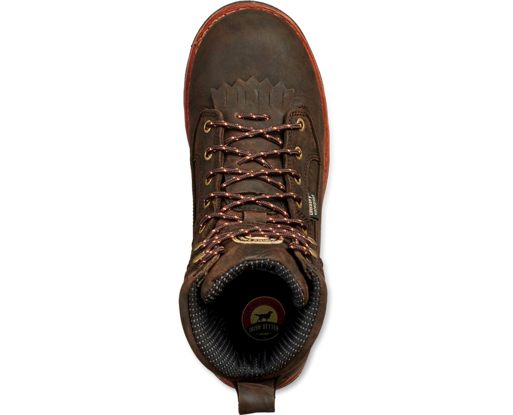 irish setter 878