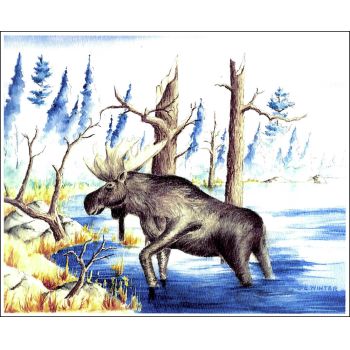 Fall Boundry Waters Moose