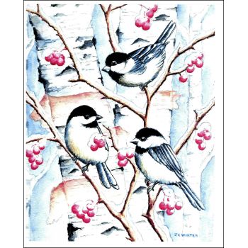 Winter Chickadee, Birch and Berrys