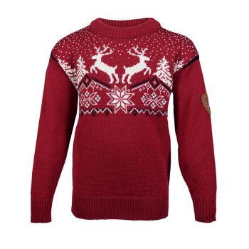 Dale Christmas Kids' Sweater