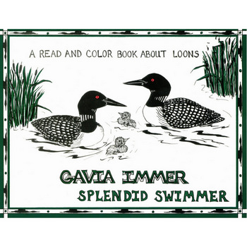 Loons Gavia Immer Splendid Swimmer