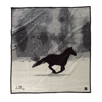 A Horse Called Paint Blanket