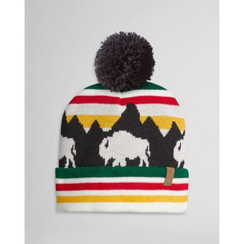 Retro Scene Beanie