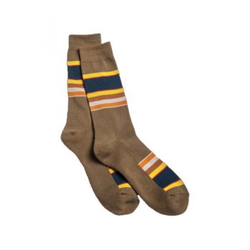 National Park Crew - Badlands Stripe